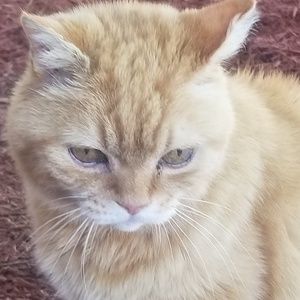 Meet your Posher, Donna